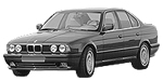 BMW E34 B281F Fault Code